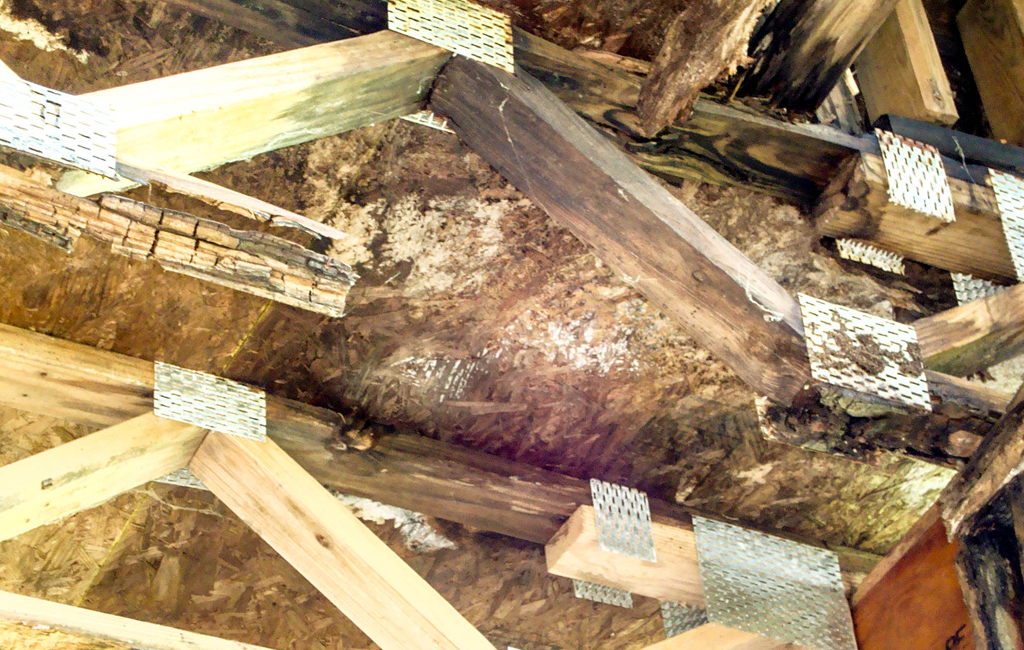 Interior Structural Damage