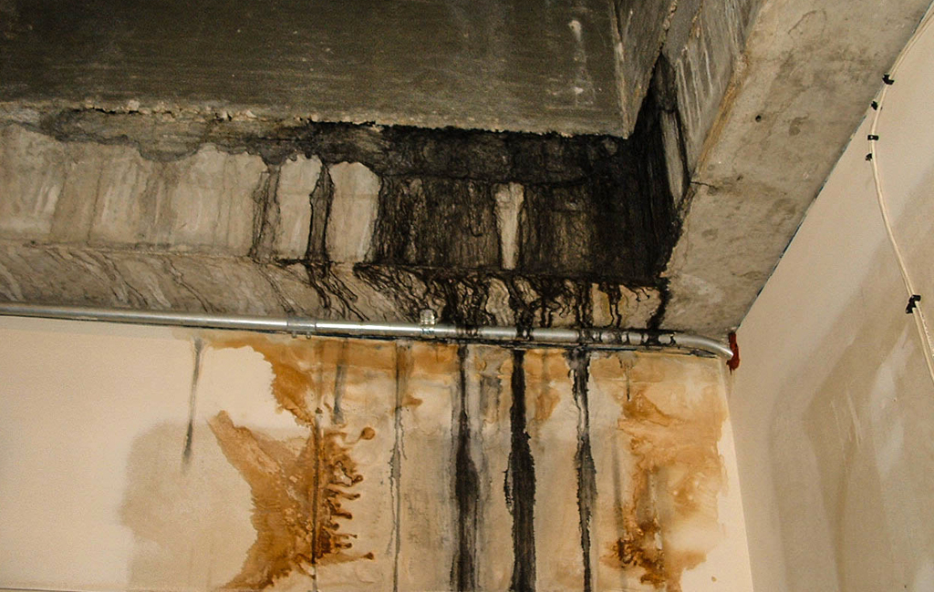 Mold and Water Damage